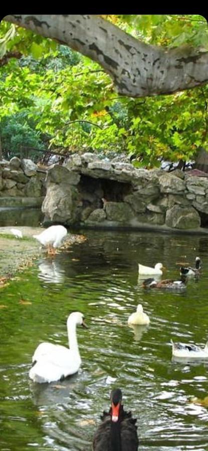 Apartament Keti 1 Belgrad Zewnętrze zdjęcie