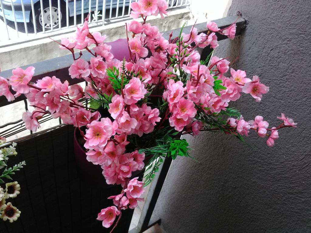 Apartament Keti 1 Belgrad Zewnętrze zdjęcie